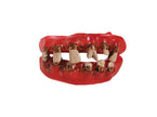 dentier de pirate