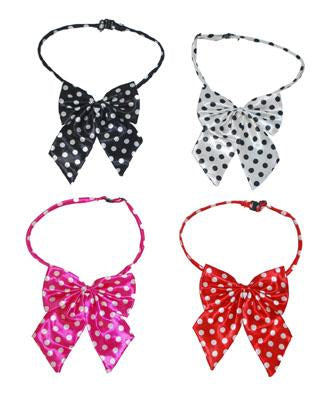noeud papillon à pois grand femme blanc