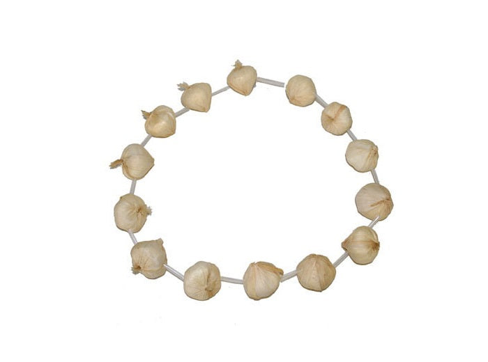 collier gousse d'ail en plastique