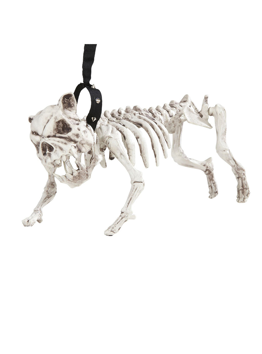 Squelette de chien avec laisse