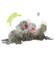 Squelette zombie brisesol