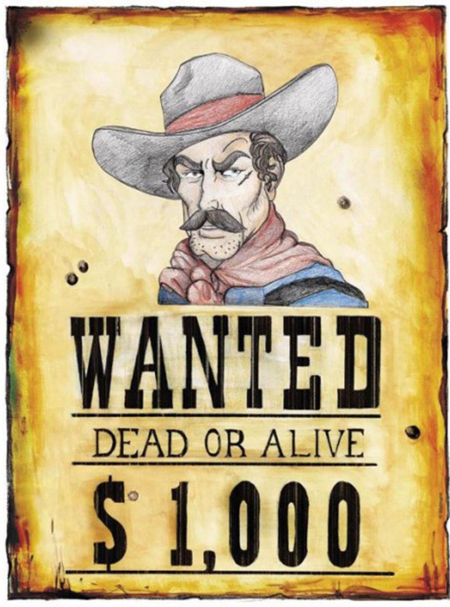 Panneau Wanted du far West