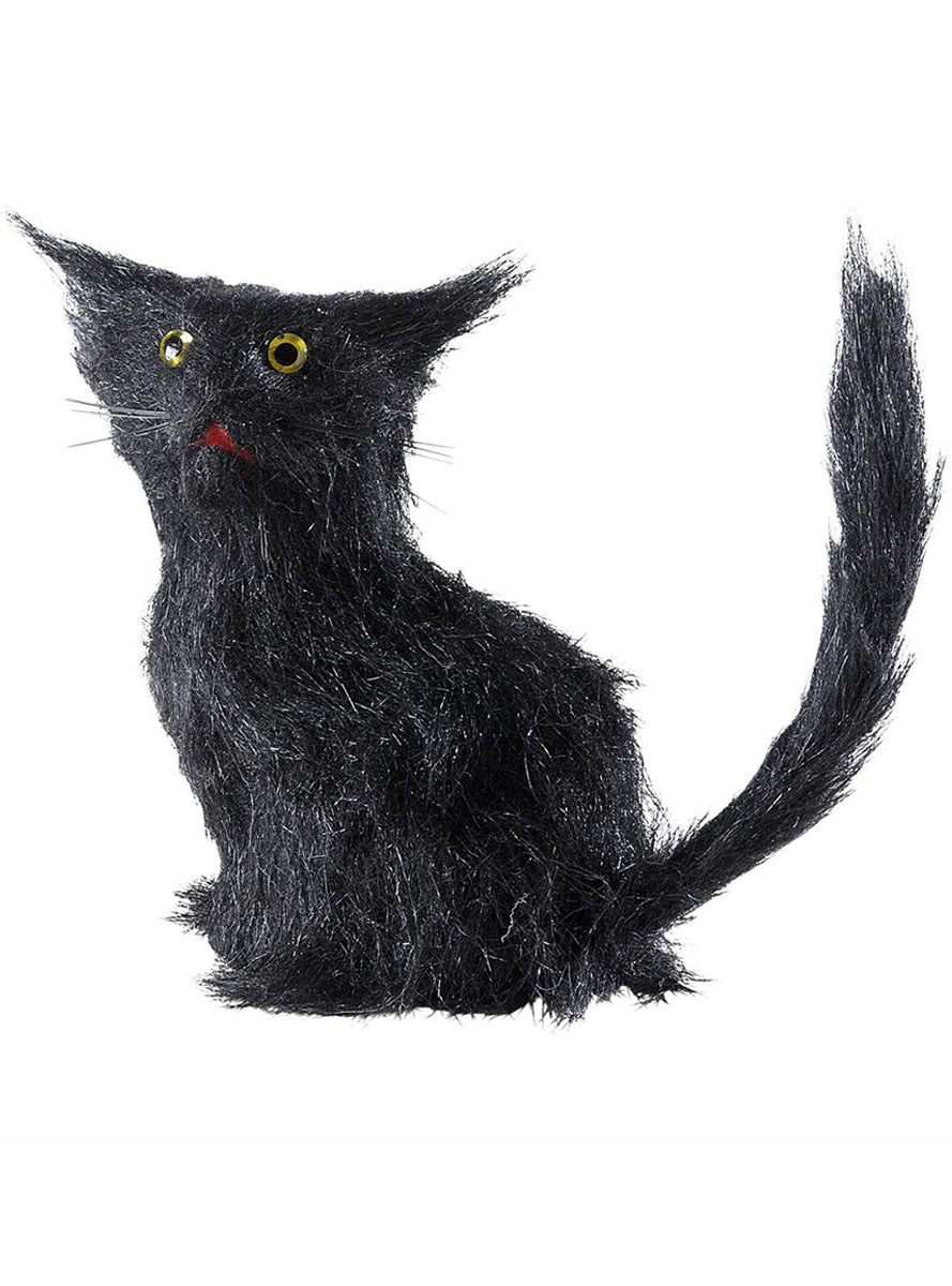 Chats noirs mauvaise chance