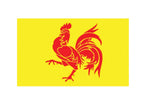 drapeau de wallonie belgique 90x150 cm