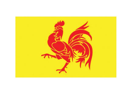 drapeau de wallonie belgique 90x150 cm