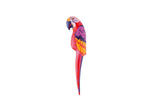 perroquet gonflable 65cm