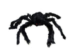 araignée velue 40cm