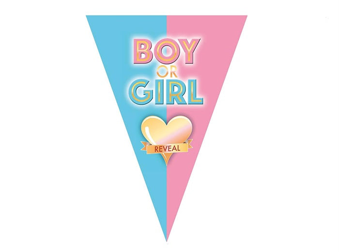 guirlande 10 fanions motif boy or girl reveal bleu rose 5m