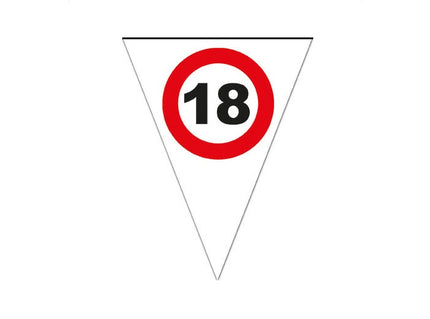 guirlande 10 fanions 18 ans 5m new