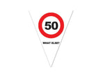 guirlande 10 fanions what else? 50 ans 5m