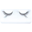 FAUX CILS MA BICHE