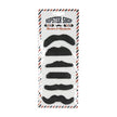 MOUSTACHE PARTY (SET DE 6 MOUSTACHES NOIRES)