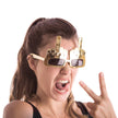 LUNETTES FUCK