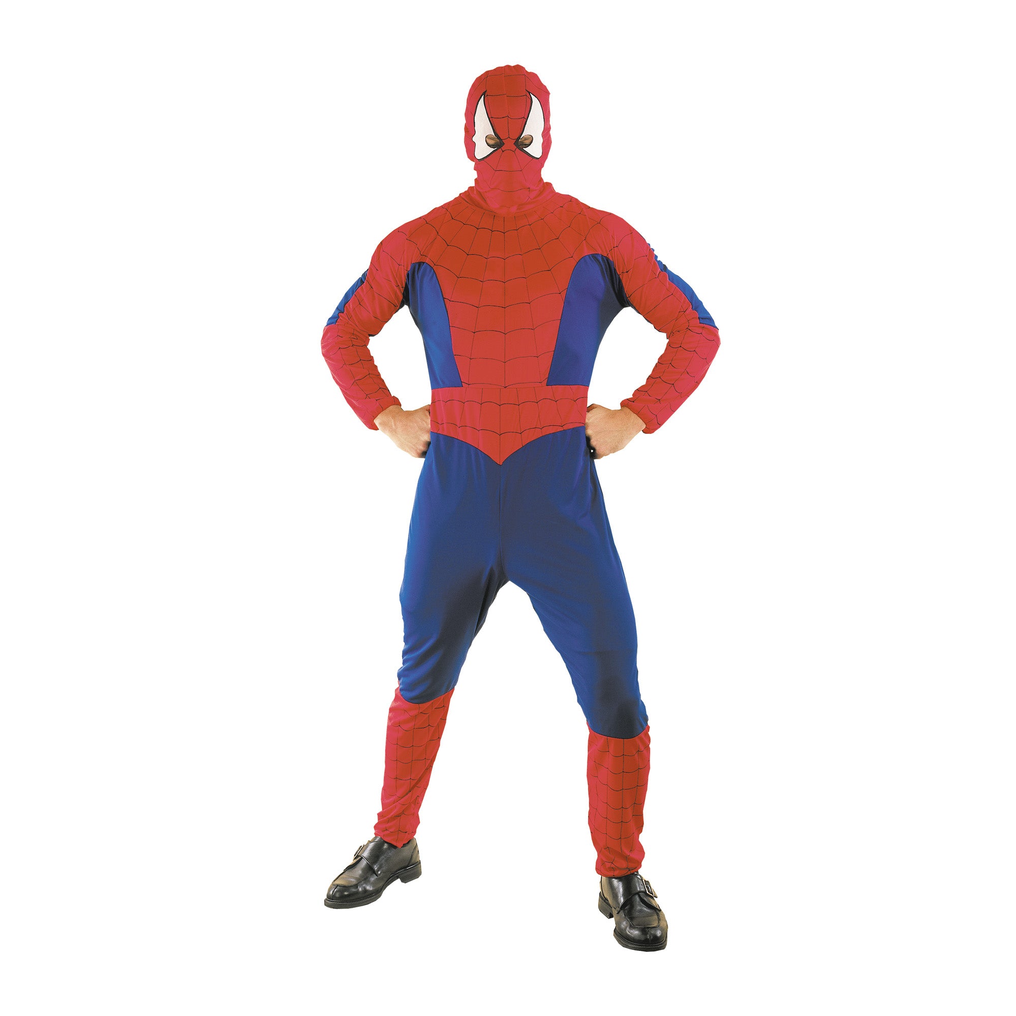 COSTUME SUPER ARAIGNÉE