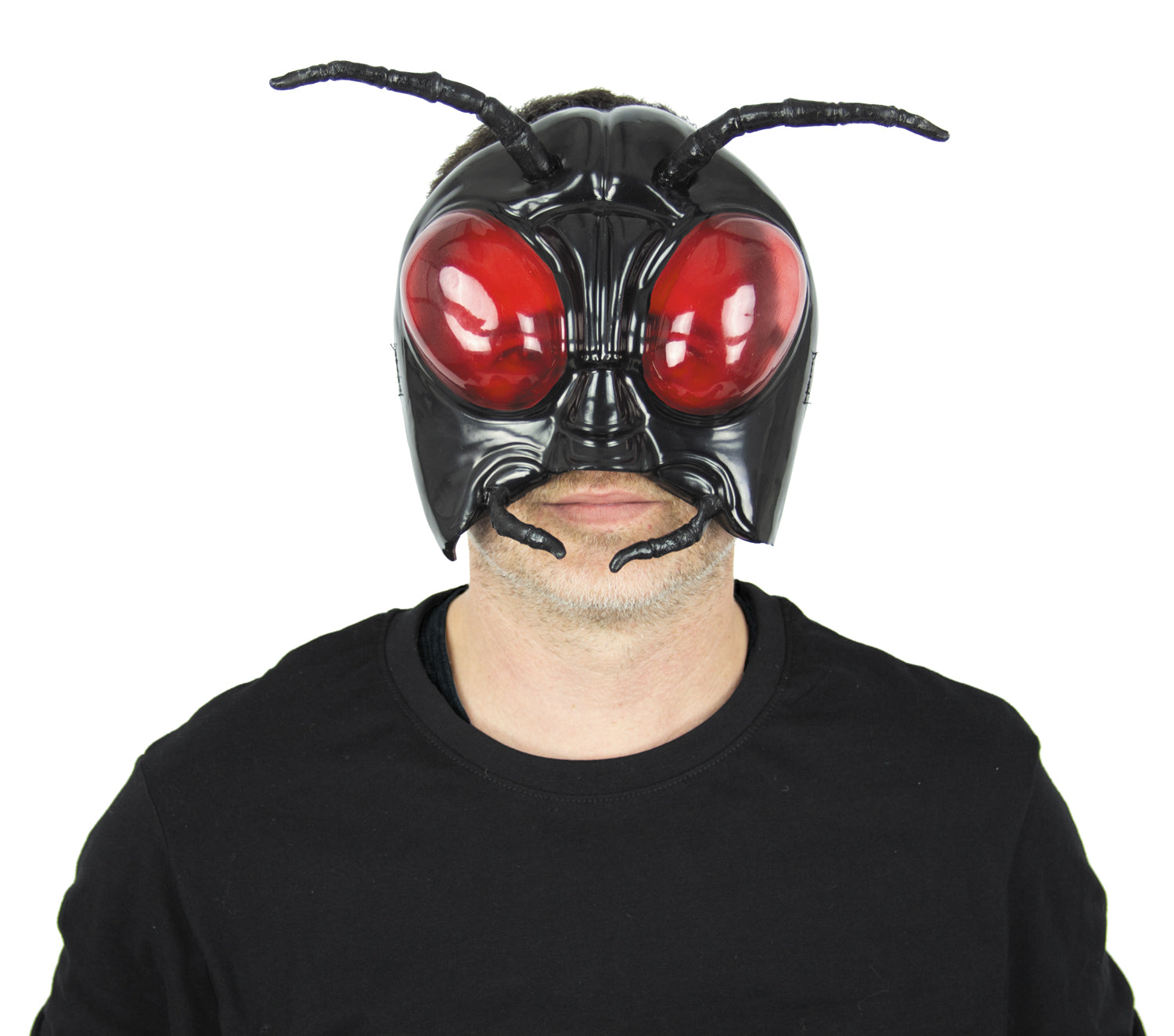 MASQUE MOUCHE
