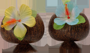 Verre coco Hawaï