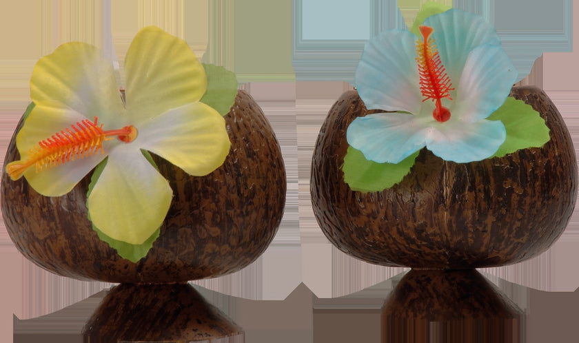 Verre coco Hawaï