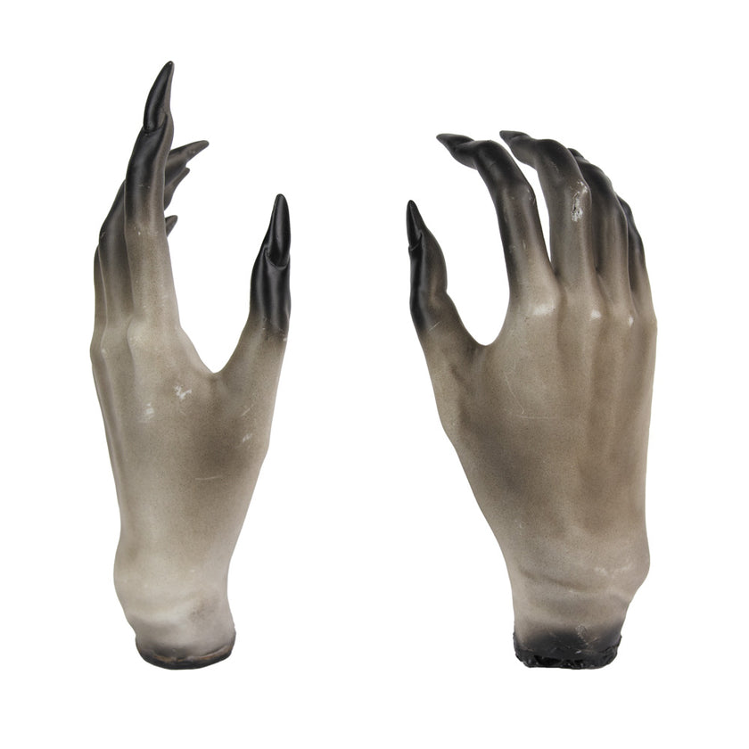 PAIRE DE MAINS DE SORCIERE 18CM