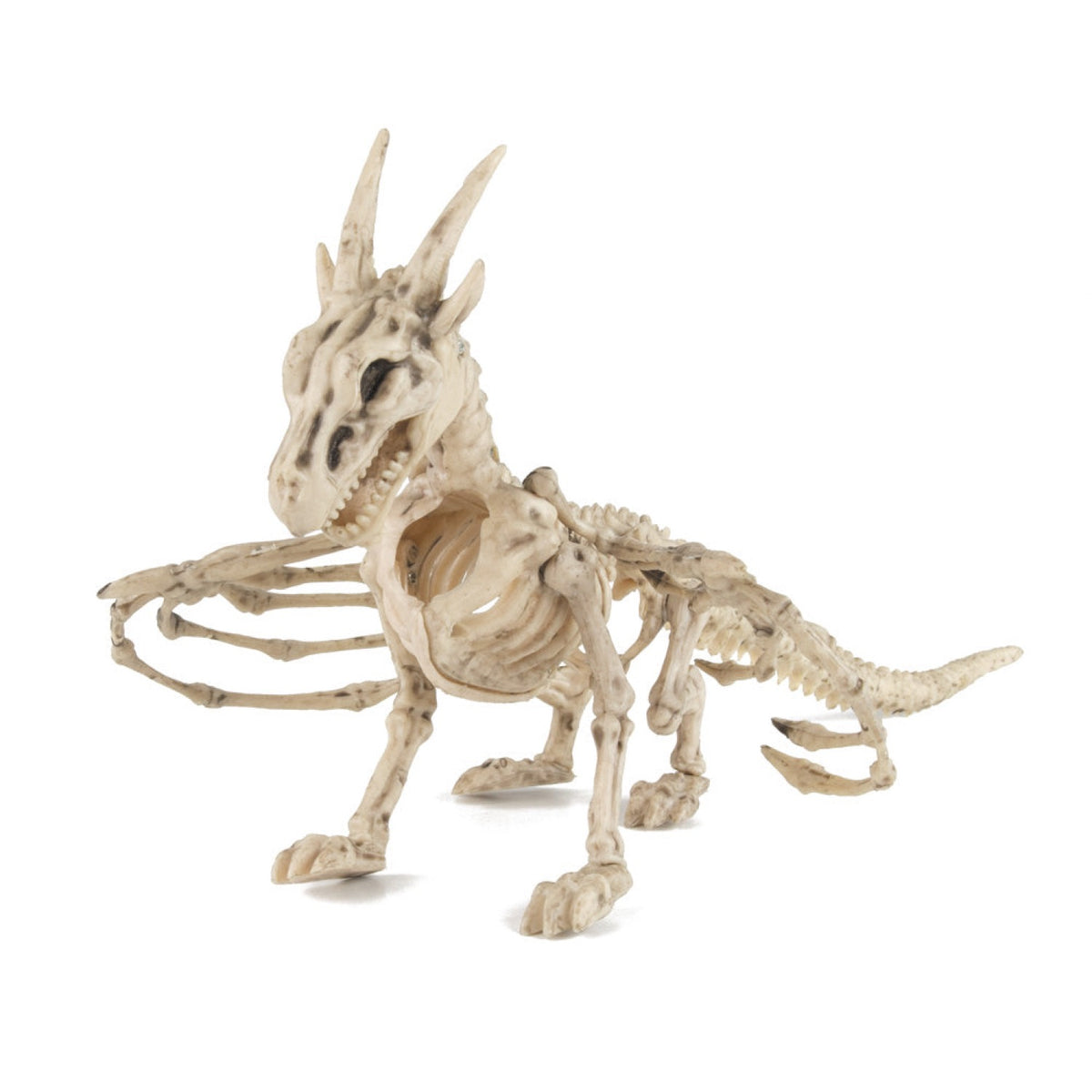 SQUELETTE DE DRAGON 35CM