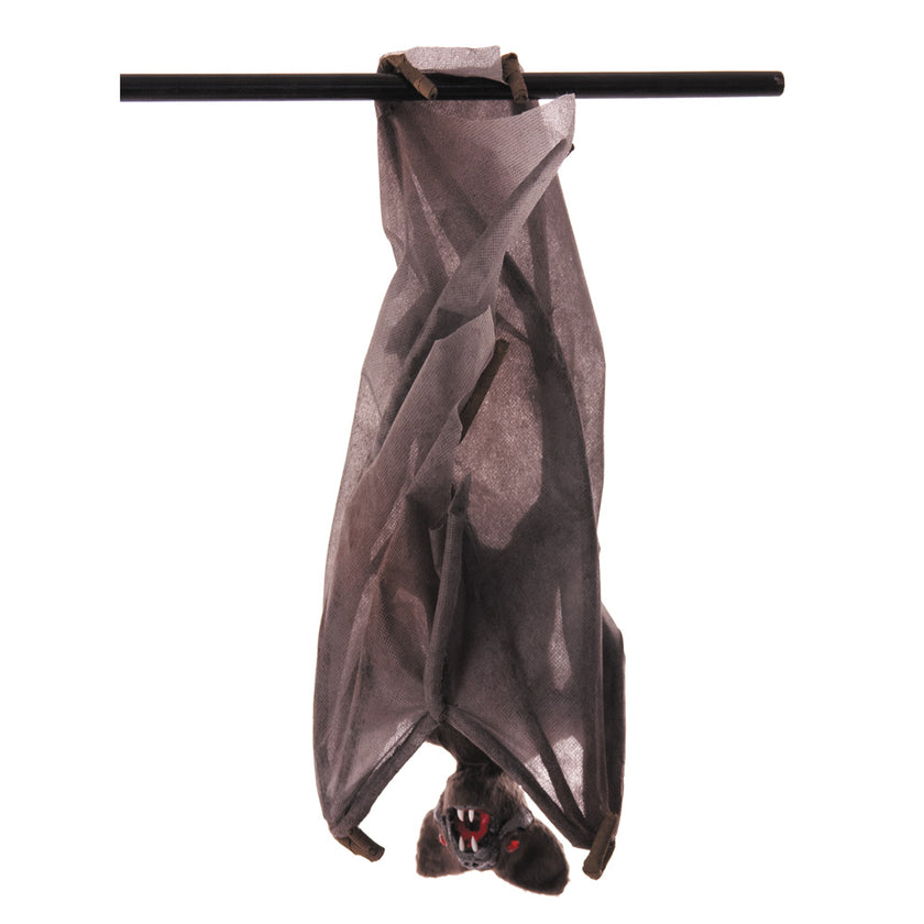 CHAUVE SOURIS AILES REPLIEES