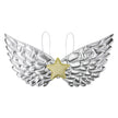 AILES FANTASTIQUES ARGENTEES