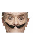 Moustache épaisse séparation au milieu et pointes vers le haut