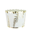 PETITS POTS FOUGERE WHITE X 8