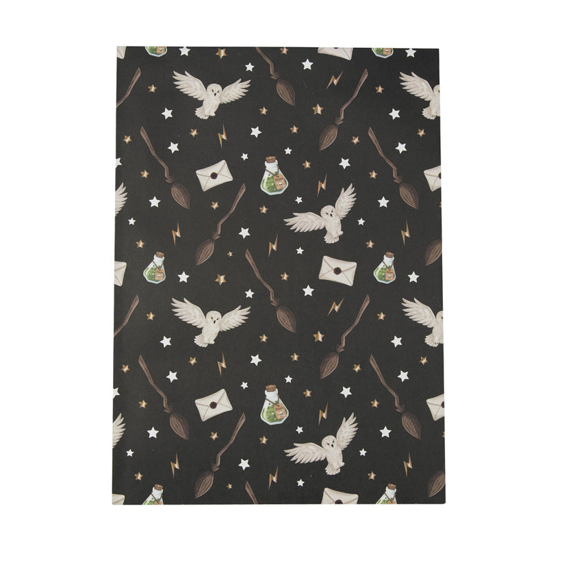 POCHETTES PAPIER APPRENTI SORCIER X 8PCS