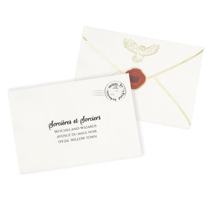 SERVIETTES 30X20CM ENVELOPPE APPRENTI SORCIER X 16