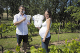 PINATA GENDER REVEAL