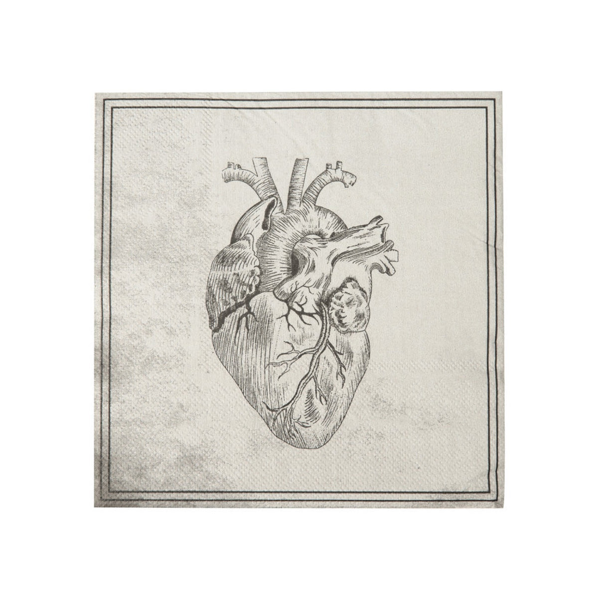 SERVIETTES 33X33CM CRANE CABINET DE CURIOSITES X 16