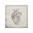 SERVIETTES 33X33CM CRANE CABINET DE CURIOSITES X 16