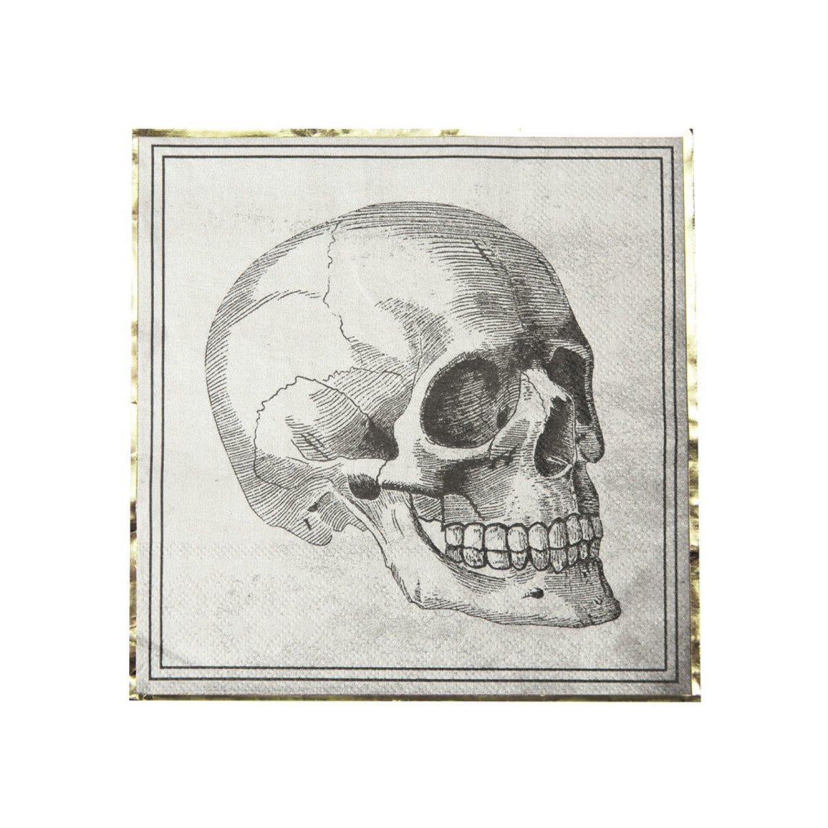 SERVIETTES 33X33CM CRANE CABINET DE CURIOSITES X 16