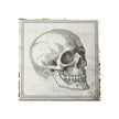 SERVIETTES 33X33CM CRANE CABINET DE CURIOSITES X 16