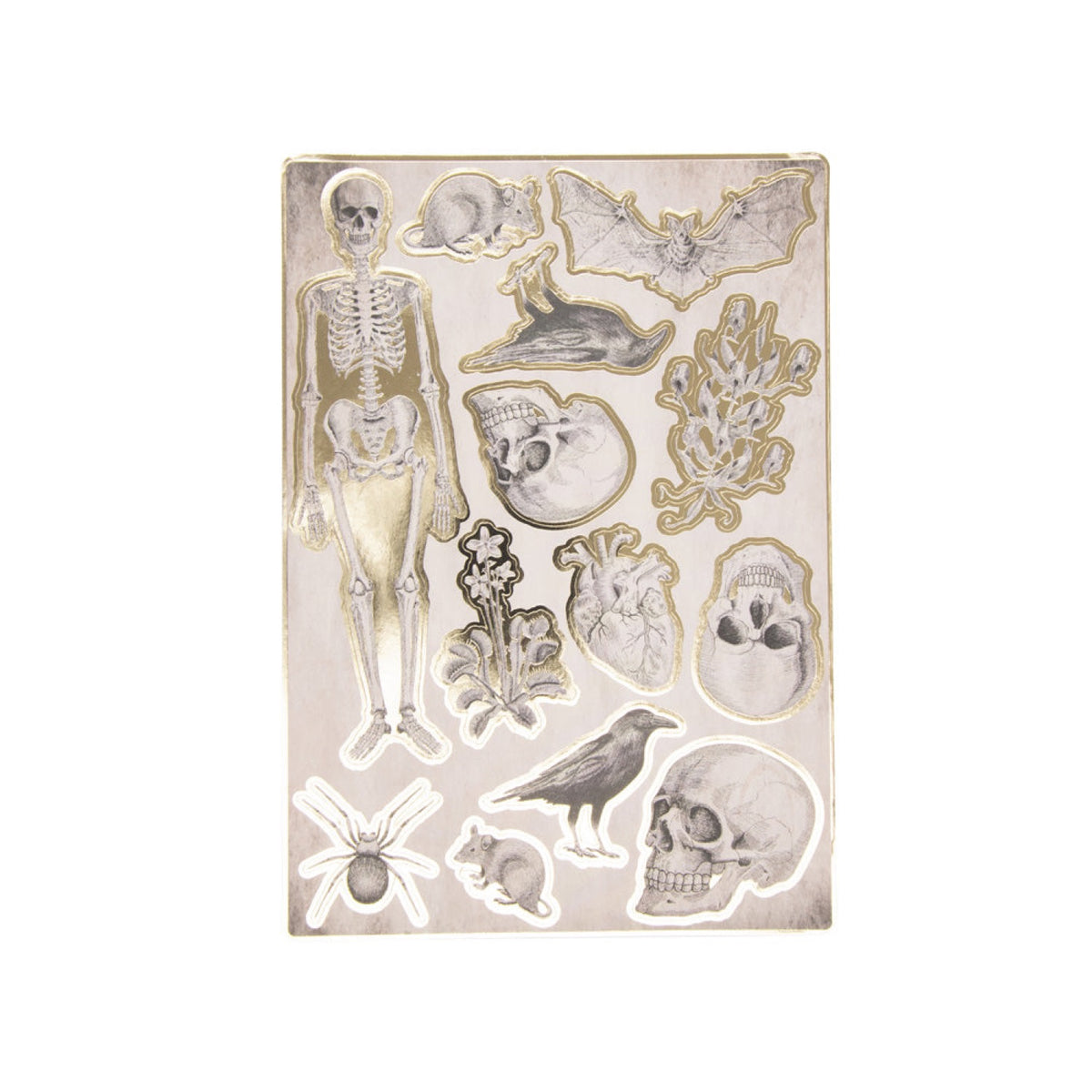 STICKERS CABINET DE CURIOSITES X 25PCS