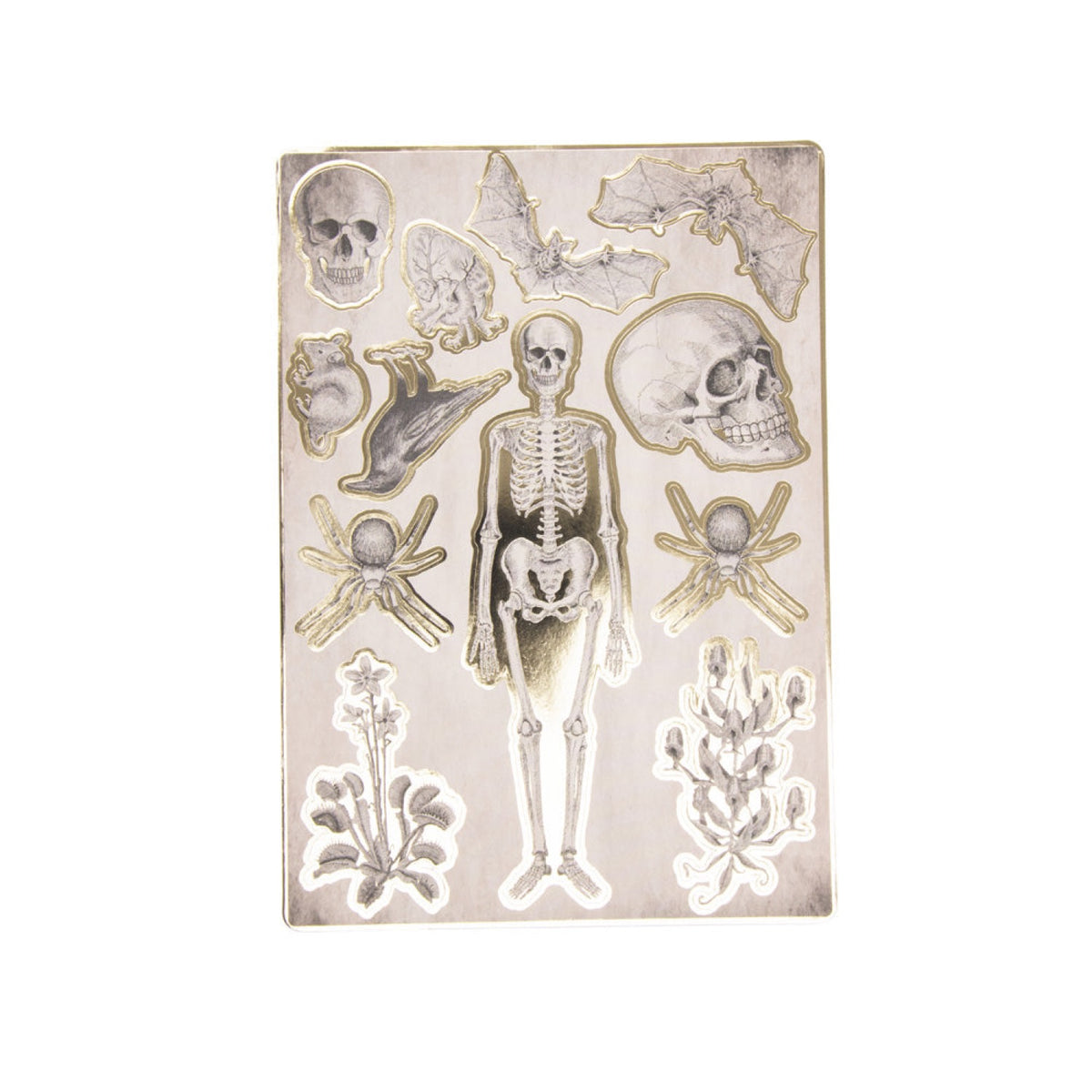 STICKERS CABINET DE CURIOSITES X 25PCS