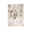 STICKERS CABINET DE CURIOSITES X 25PCS