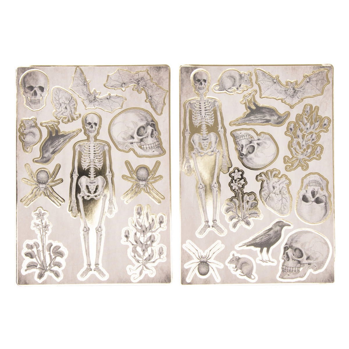 STICKERS CABINET DE CURIOSITES X 25PCS