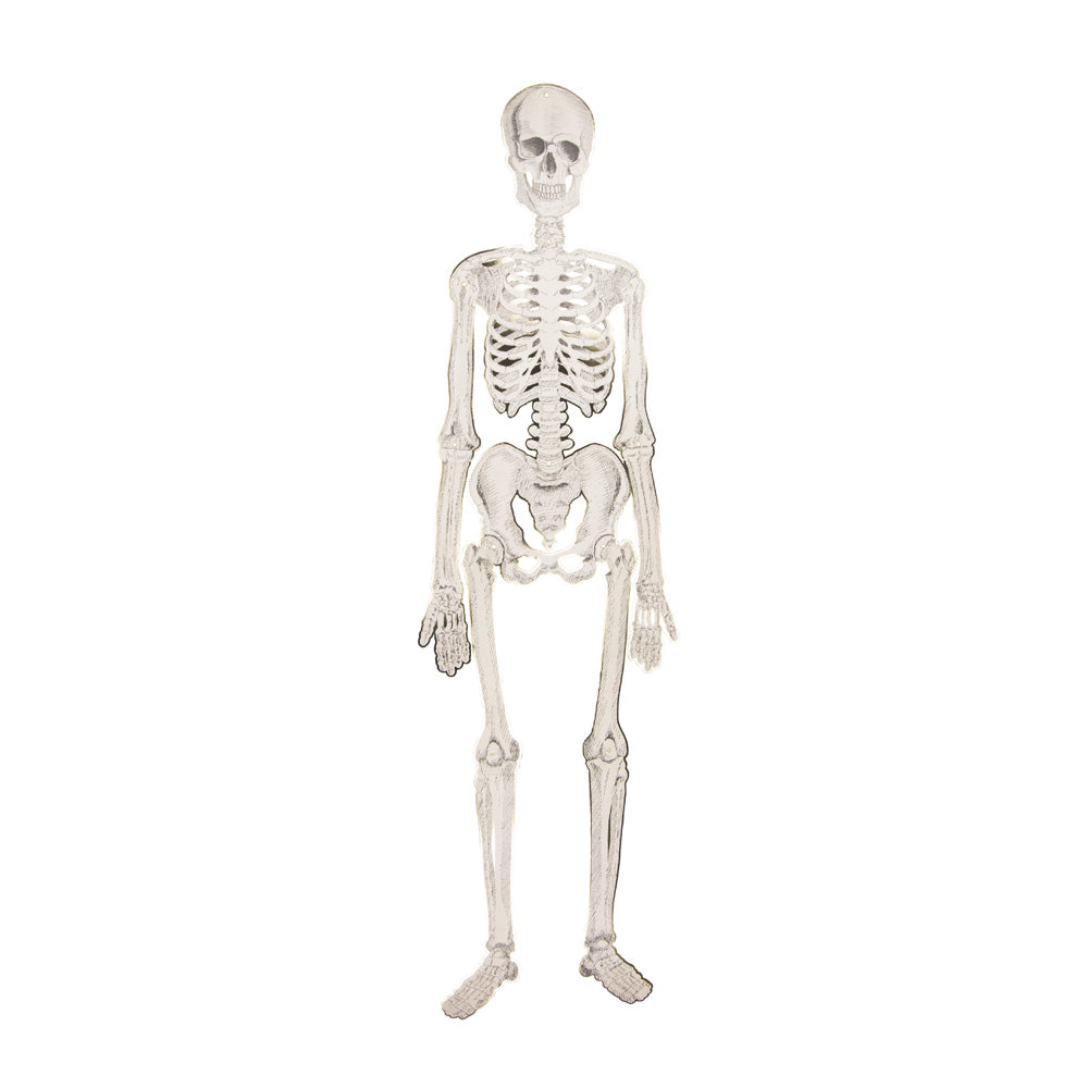 SQUELETTE ARTICULÉ CABINET DE CURIOSITES 135CM