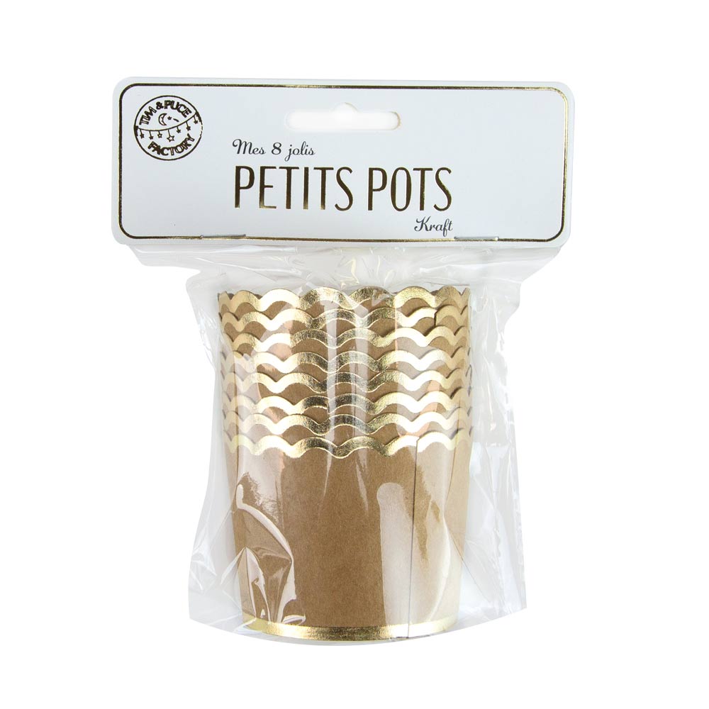 PETITS POTS KRAFT X 8