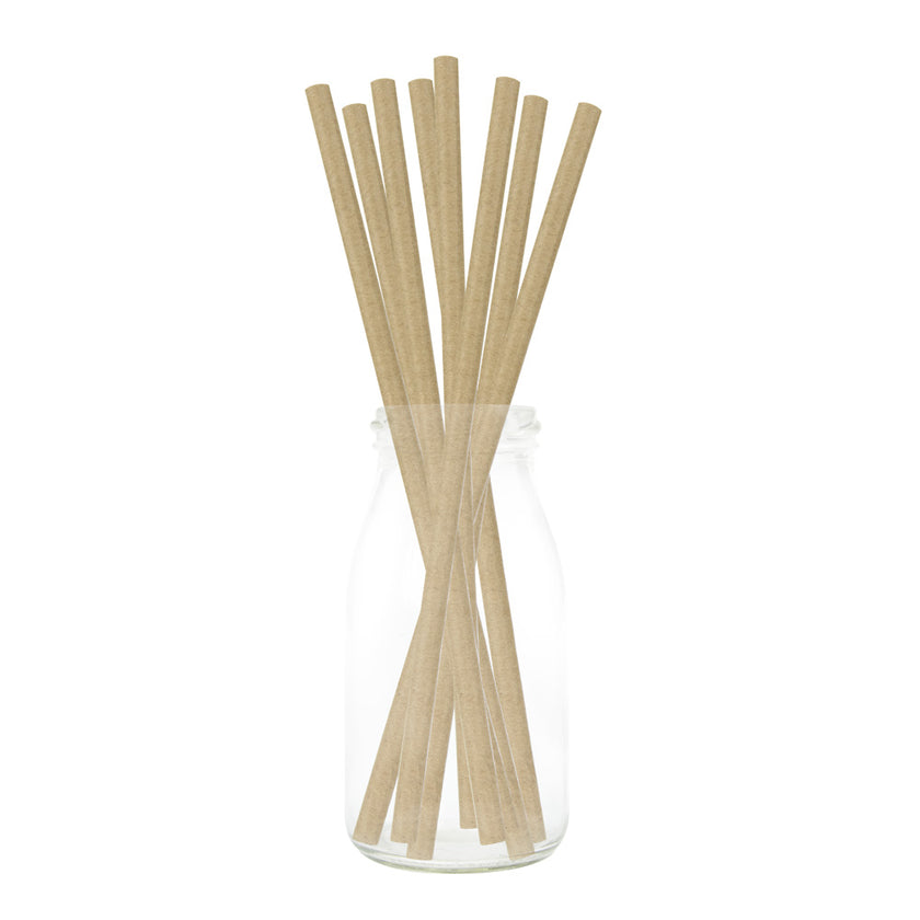 SET DE 10 PAILLES KRAFT