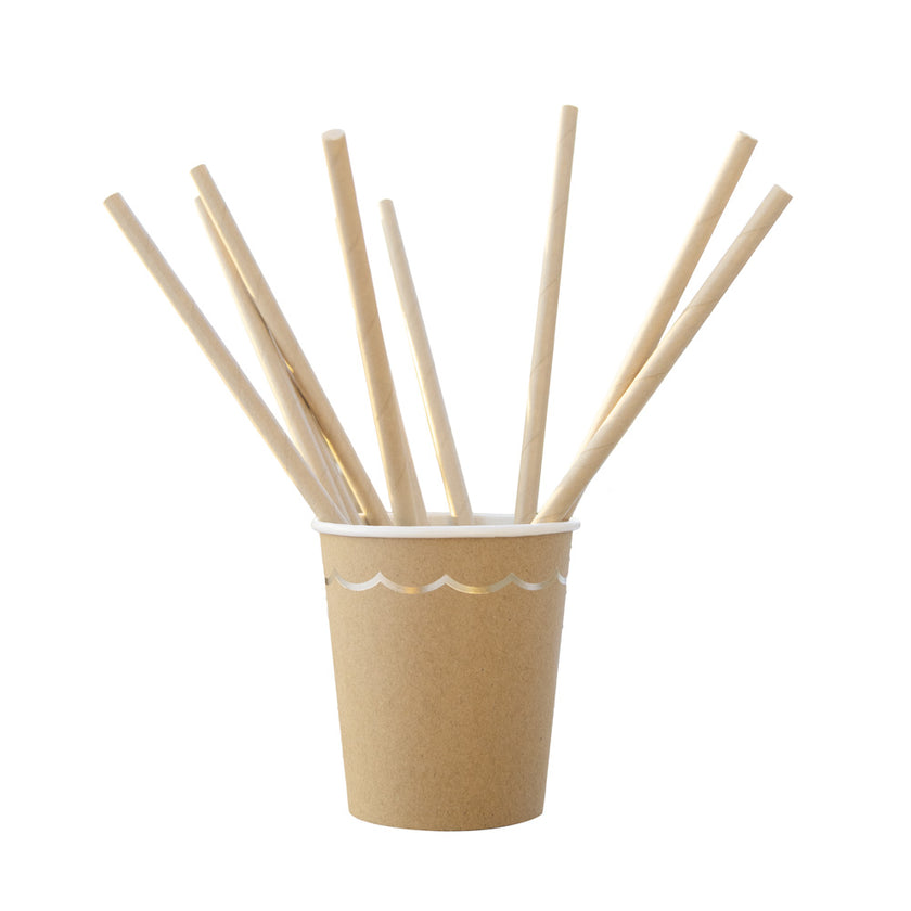 SET DE 10 PAILLES KRAFT