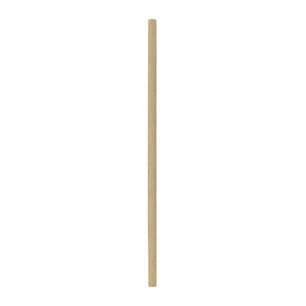 SET DE 10 PAILLES KRAFT