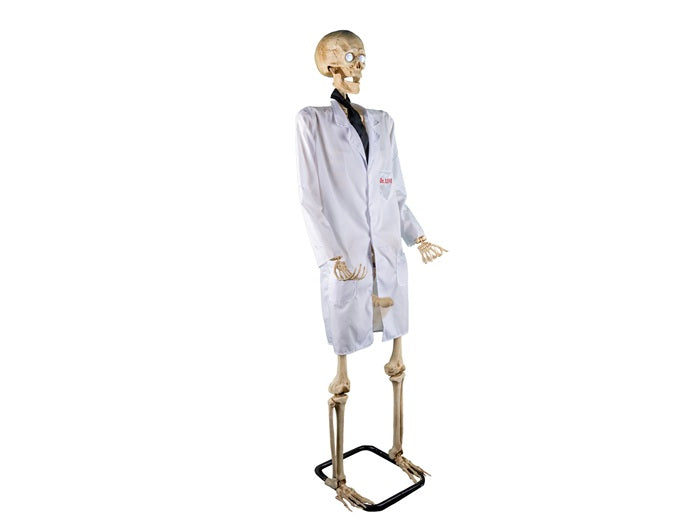 squelette docteur love lumineux sonore et motoris 1.52m