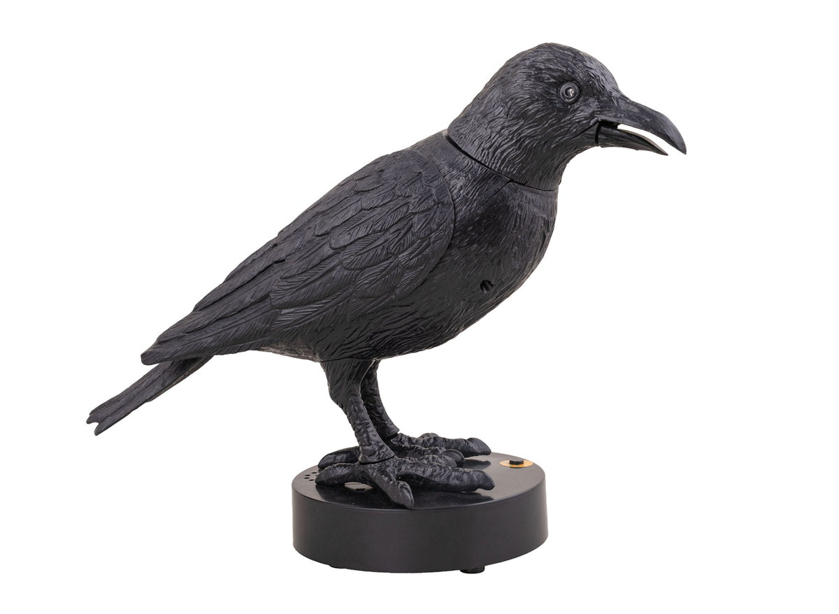 corbeau ensorcellé horreur lumineux sonore motorisé 22x24cm