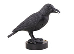 corbeau ensorcellé horreur lumineux sonore motorisé 22x24cm