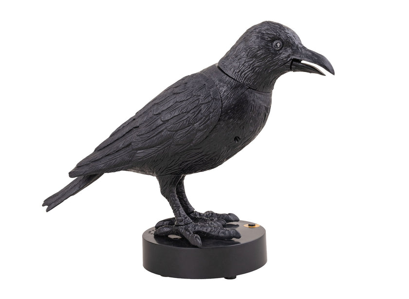 corbeau ensorcellé horreur lumineux sonore motorisé 22x24cm