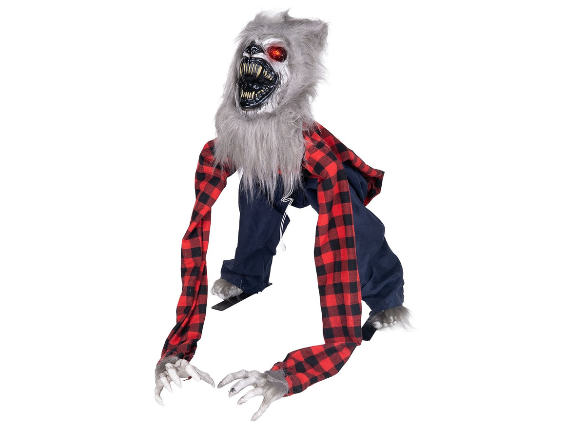 loup garou hurlant lumineux sonore et motorisé 40x73cm