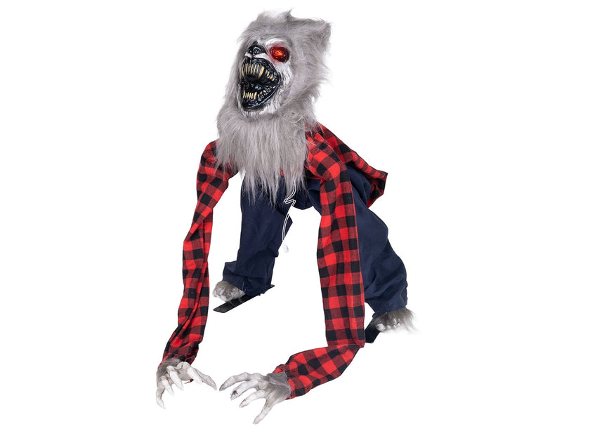loup garou hurlant lumineux sonore et motorisé 40x73cm