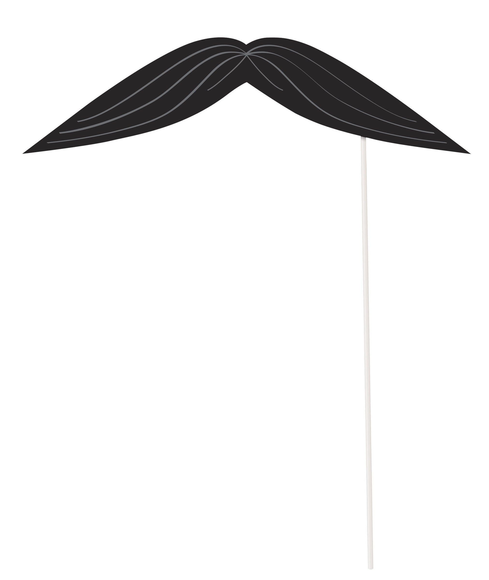 10 accessoires Photo booth pour fête pirate